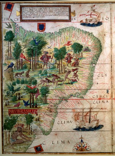 Hydrographische Karte von Brasilien. Manuskript aus dem „Portugiesischen Nautischen Atlas“ von Kartograph Loppo Homem 1519 Paris. B.N. von Lopo Homem