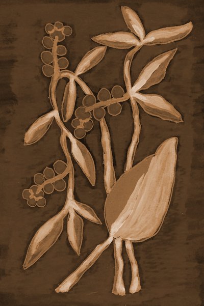 Organische Sepia Botanicals von Lori Ann Folz