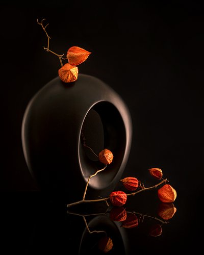 Orange Botanicals Schwarze Vase von Louie Luo