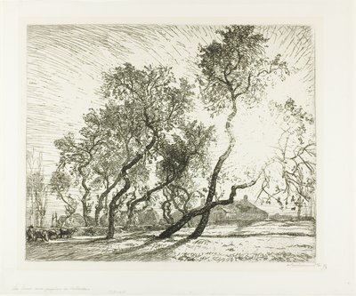 Bauernhof mit niederländischen Pappeln von Louis Auguste Lepère