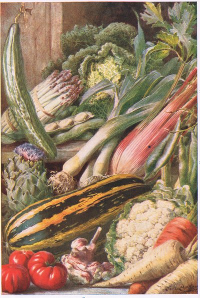 Garten Gemüse, Illustration aus 