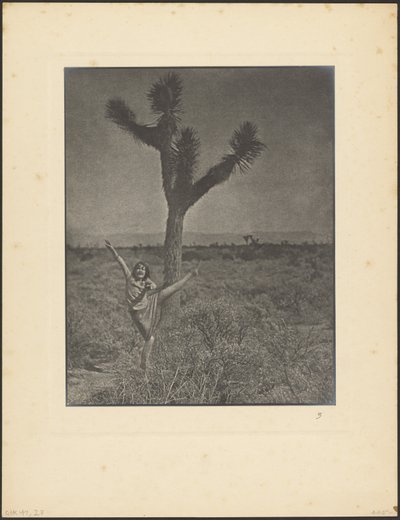 Tänzer bei Joshua Tree von Louis Fleckenstein