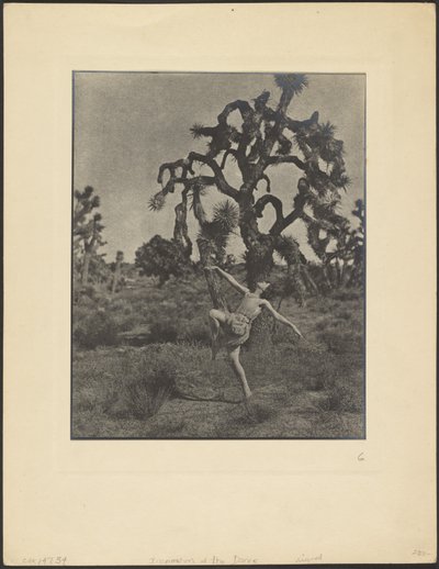 Inspiration des Tanzes von Louis Fleckenstein