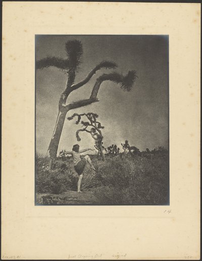 Gerade hinausgehen von Louis Fleckenstein