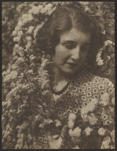 Spirea von Louis Fleckenstein