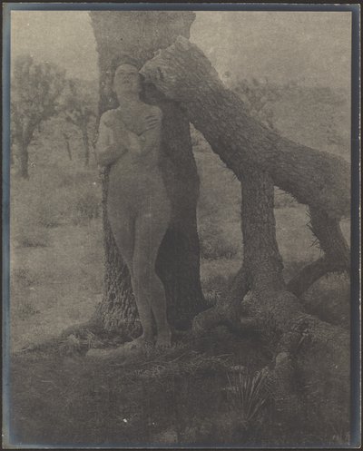 Geist des Joshua von Louis Fleckenstein