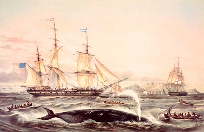 Walfang vor dem Kap der Guten Hoffnung von Louis Le Breton