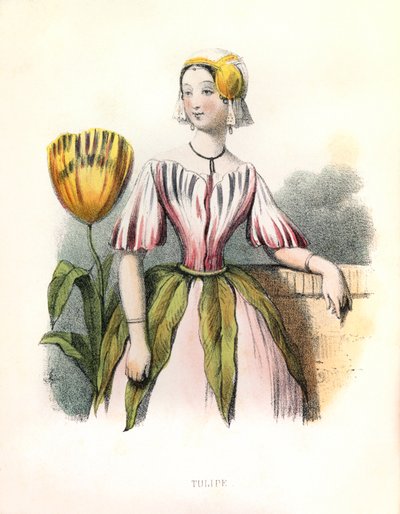Allegorie, die Tulpe von Louis Simon (1810-1870) Lassalle