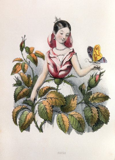 Allegorie, die Rose von Louis Simon (1810-1870) Lassalle