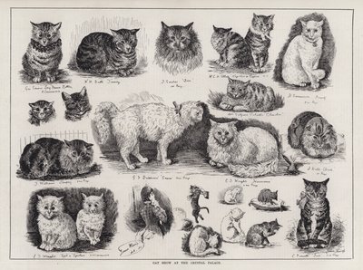 Katzenausstellung im Kristallpalast (Gravur) von Louis Wain