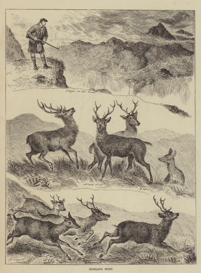 Highland-Sport von Louis Wain