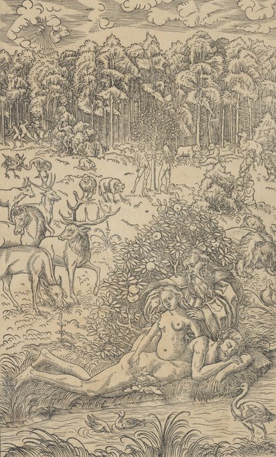Die Erschaffung Evas von Lucas Cranach the Younger  