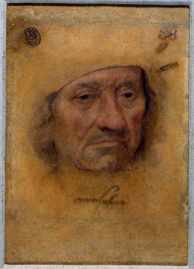 Porträt von Doktor Petrus von Clapis von Lucas the Elder Cranach