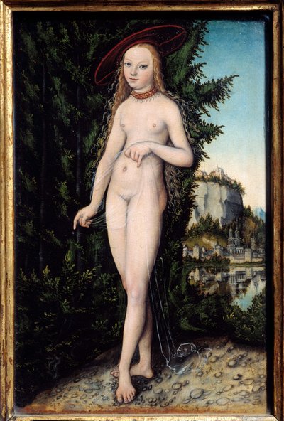 Venus stehend in einer Landschaft von Lucas the Elder Cranach