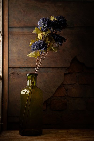 Stimmungsvolle Blumenflasche von Luiz Laercio