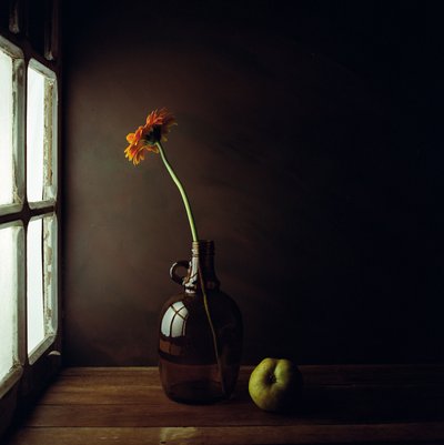 Stimmungsvolles Fenster Stillleben von Luiz Laercio