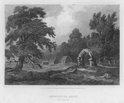 Newminster Abbey, Northumberland von Luke (after) Clennell