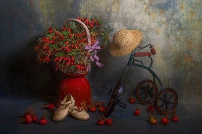 Herbst Hagebutten und Dreirad von Lydia Jacobs