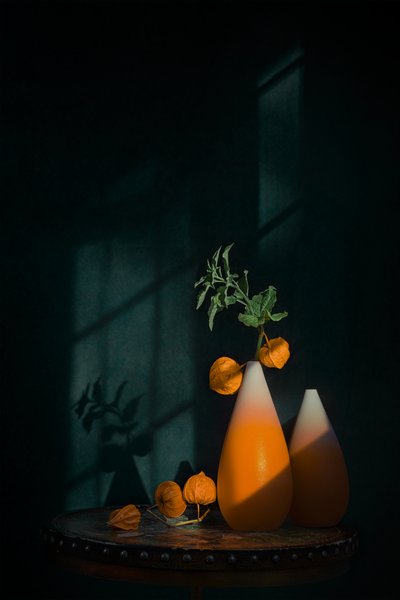  von Lydia Jacobs