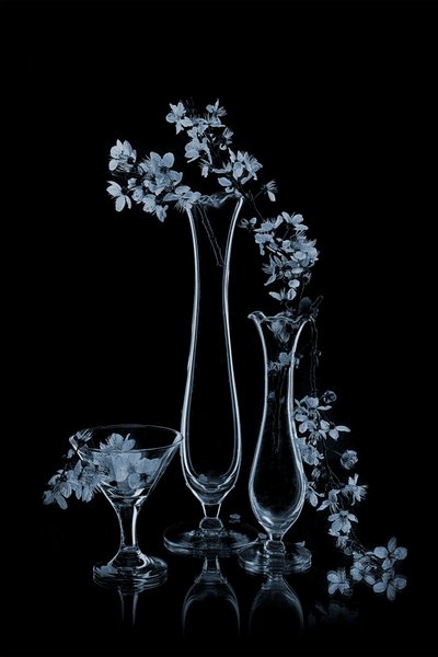 Blaue Blumen in Glasvasen von Lydia Jacobs