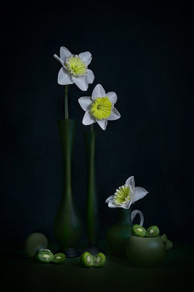 von Lydia Jacobs