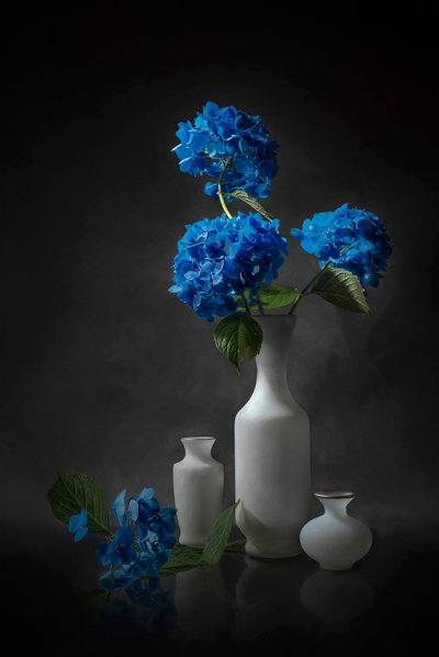  von Lydia Jacobs