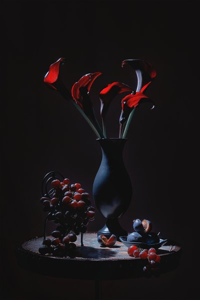  von Lydia Jacobs