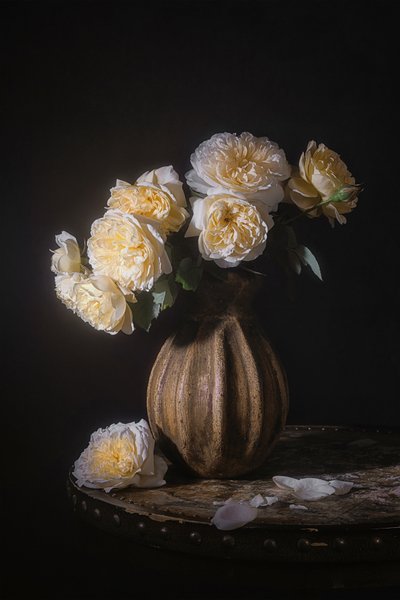  von Lydia Jacobs