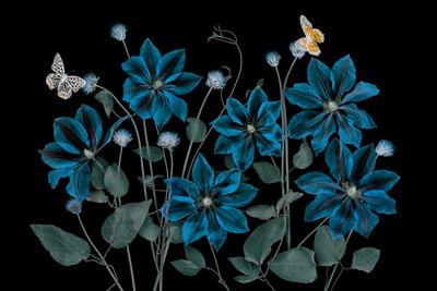 Ätherischer Blauer Garten von Lydia Jacobs