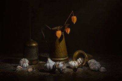  von Lydia Jacobs
