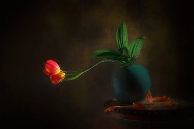 Anmutige Tulpen Stillleben von Lydia Jacobs