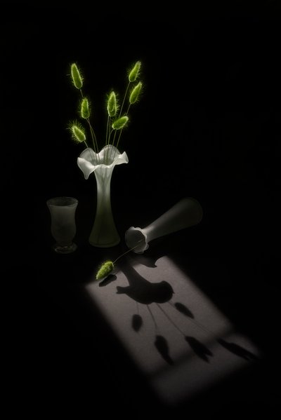 Grüne Pflanzen Vogel Schatten von Lydia Jacobs
