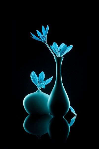 Leuchtendes Blaues Stillleben von Lydia Jacobs