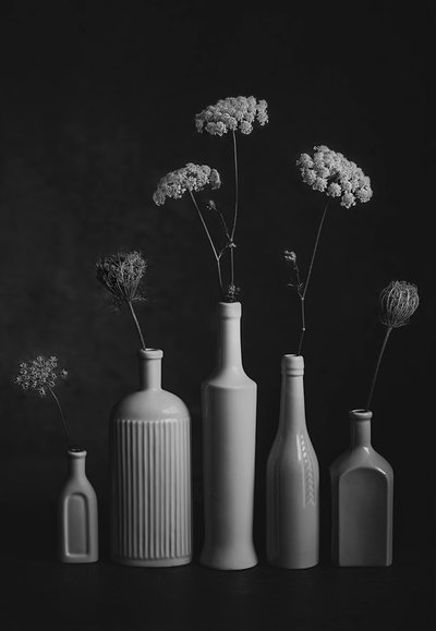  von Lydia Jacobs