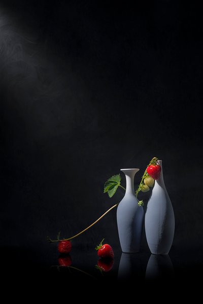  von Lydia Jacobs