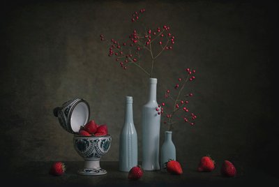  von Lydia Jacobs