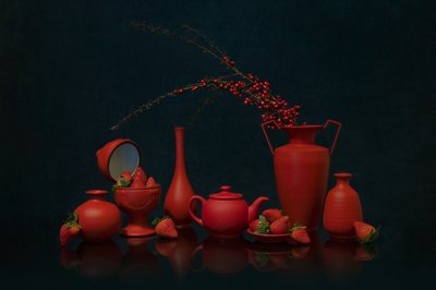  von Lydia Jacobs