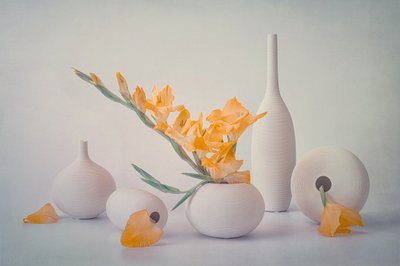  von Lydia Jacobs
