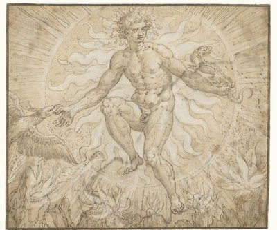 Ignis Vier Elemente (Serientitel) von Maerten de Vos