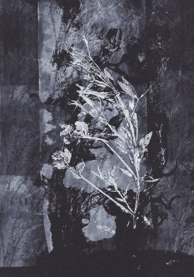 Schwarze Natur von Maira Ribena