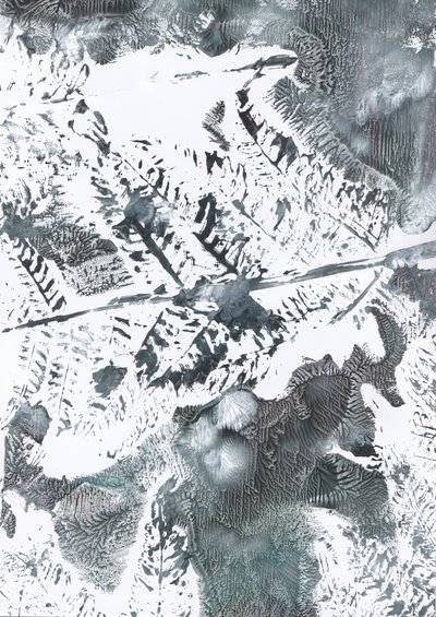 Ätherisches Winterlaub von Maira Ribena
