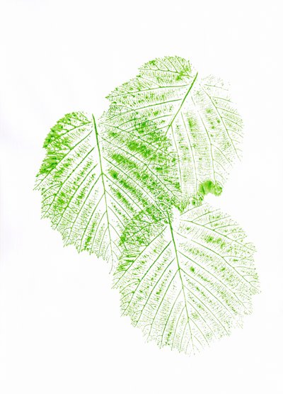 Frische grüne Blattdrucke von Maira Ribena