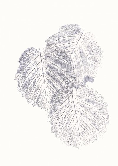 Minimalistische Blattstrukturen von Maira Ribena