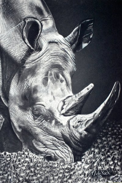 Mächtiges Nashorn beim Grasen von Marchelle de Kock
