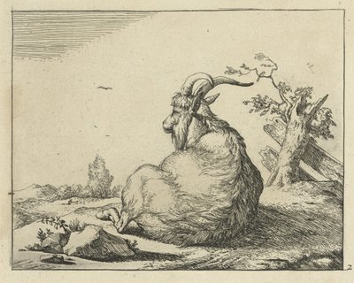 Bock sitzend bei umgefallenem Baum von Marcus de Bye