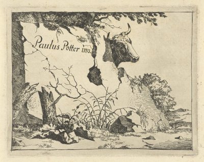 Kopf eines Rindes hinter einem Felsen von Marcus de Bye