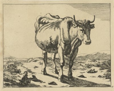 Stehende Kuh, von vorne gesehen von Marcus de Bye