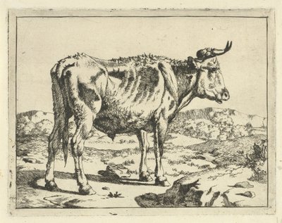 Stier steht bei einem Felsen von Marcus de Bye