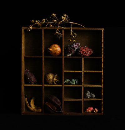 Rustikales botanisches Stillleben von Margaret Halaby
