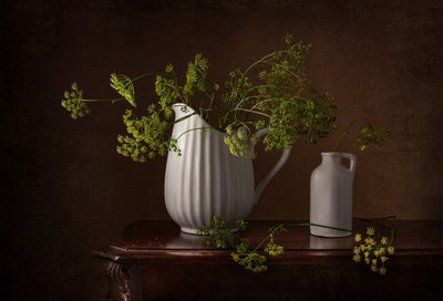 Dillblüten Stillleben von Margareth Perfoncio